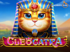 Casino slots free online. Çiçek sepeti ekstra.88